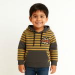 Boys Colorblock Striped Hoodie