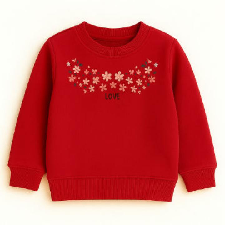 Girls Embroidered Fleece Sweatshirt