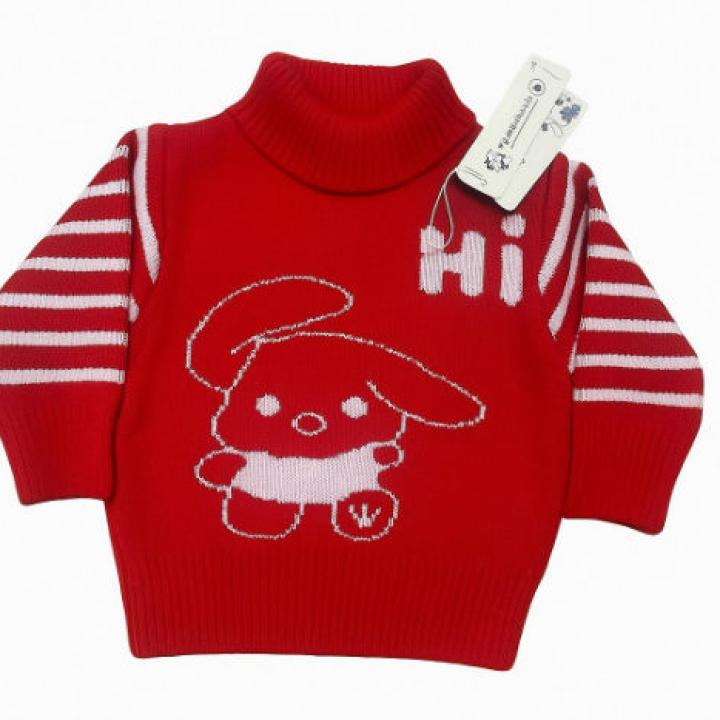 Kids Rabbit Wool Imported  Sweater