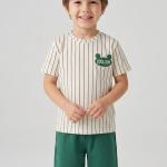 Boys Short Sleeve Tee and Shorts