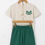 Boys Short Sleeve Tee and Shorts